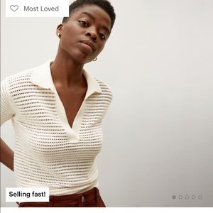 Everlane the cotton-merino polo. sold out!